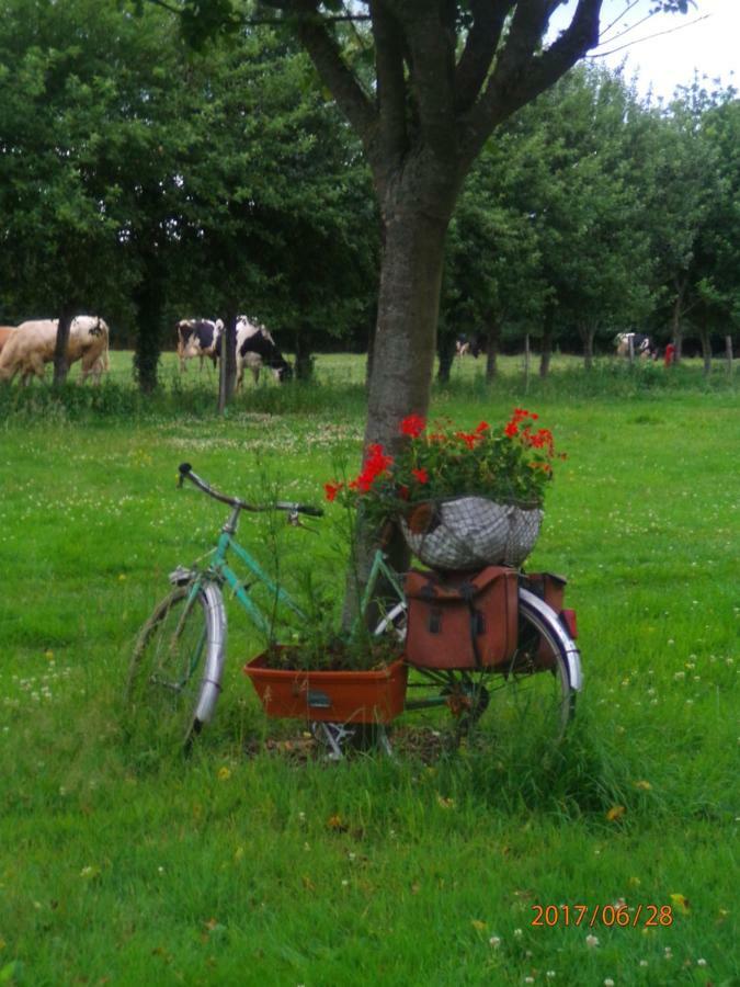 Camping Du Creulet Crouay Eksteriør billede