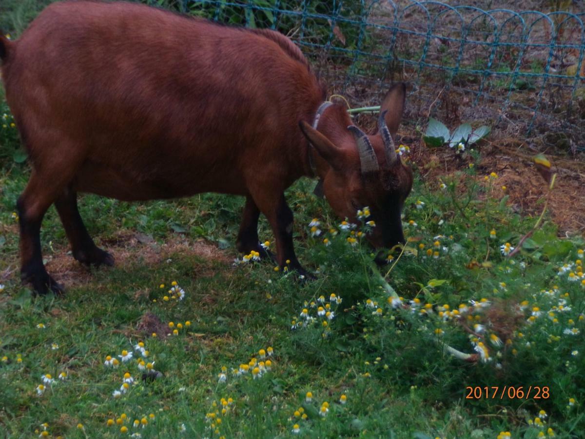 Camping Du Creulet Crouay Eksteriør billede